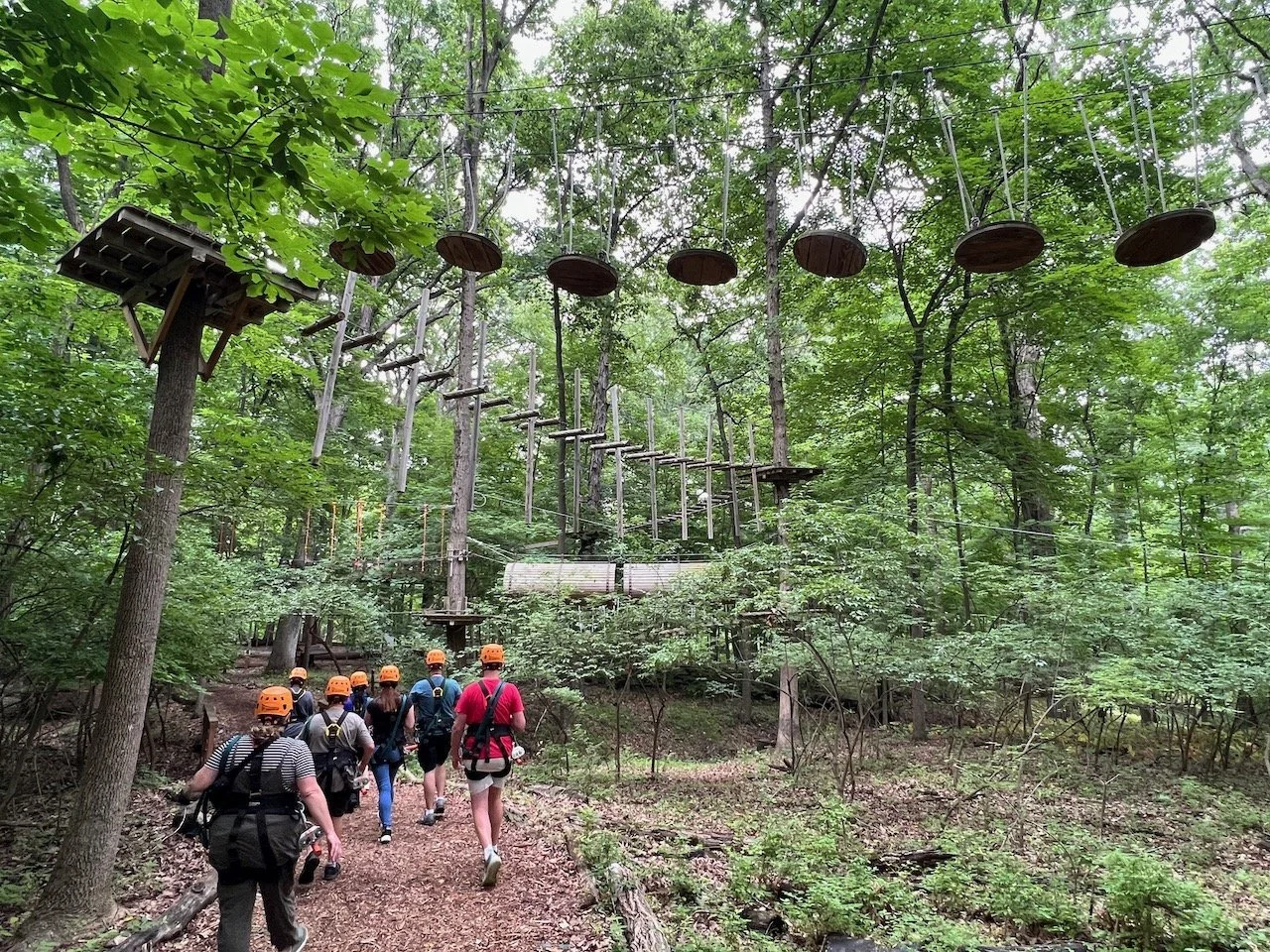 Go On a Zip Line Tour with ZipZone Outdoor Adventures